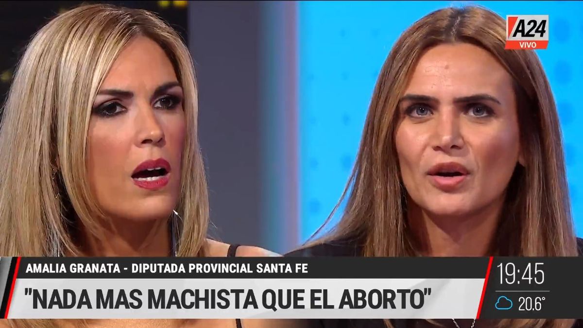 Viviana Canosa y Amalia Granata reflexionaron sobre el Día del Niño por