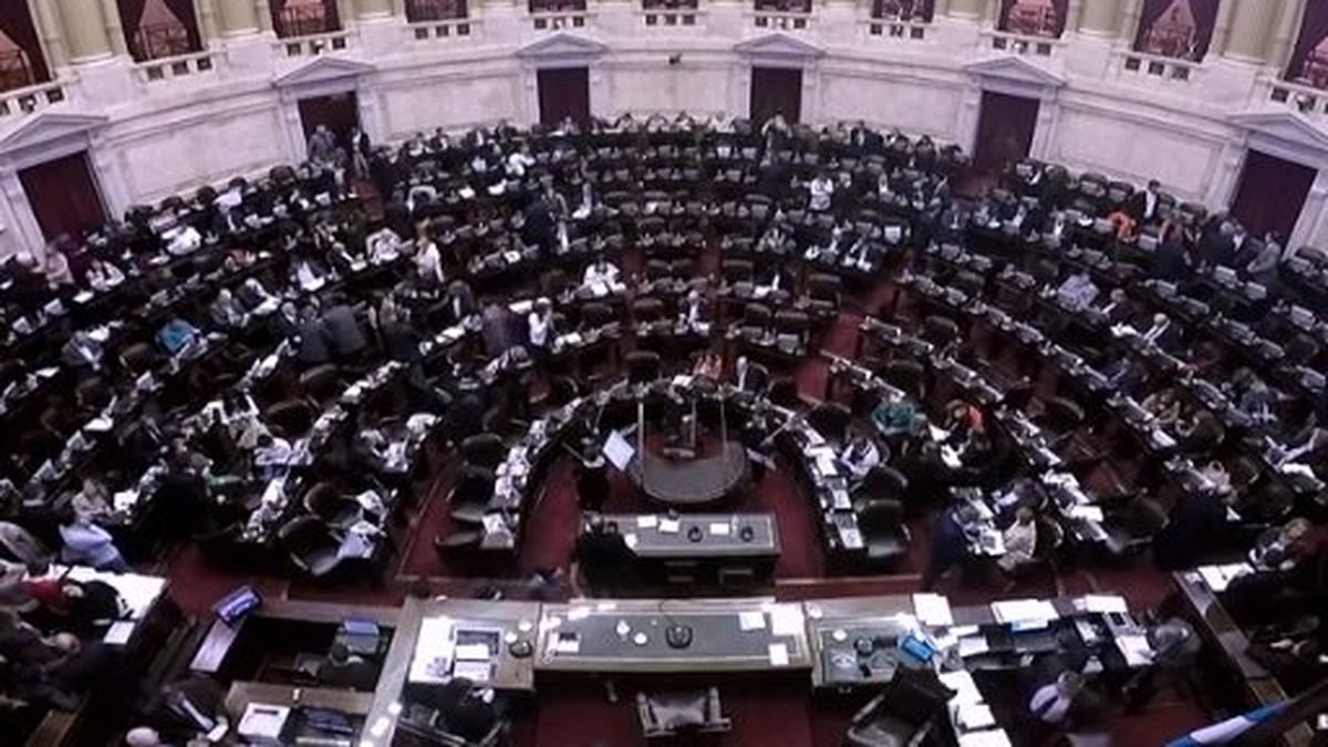 En Vivo Segu La Sesi N Especial De Diputados Por La Ley De Emergencia