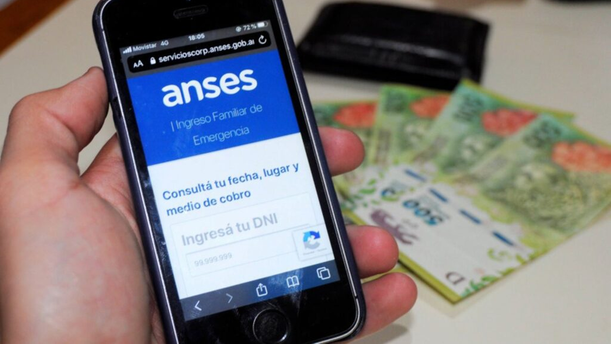 Bono De De Anses C Mo Completar La Declaraci N Jurada En Mi Anses