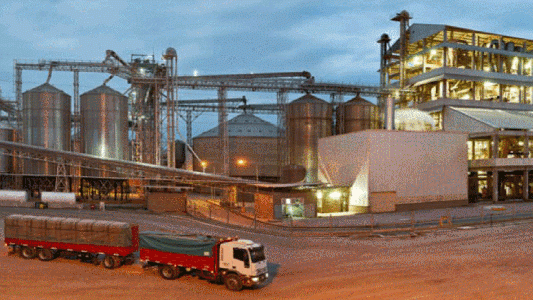 Cierra una planta de biodiésel y corren riesgo 200 puestos de trabajo