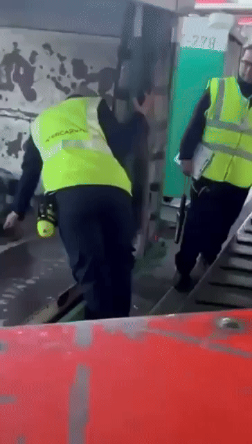 Despidieron a dos maleteros que fueron filmados mientras tiraban las valijas y las golpeaban en Aeroparque