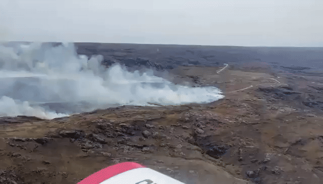 Insólito incendio: un auto se prendió fuego y un parque nacional de Córdoba terminó en llamas