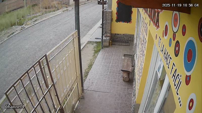 La camioneta policial circulaba a gran velocidad y todo quedó registrado en una cámara de seguridad de un vecino. 