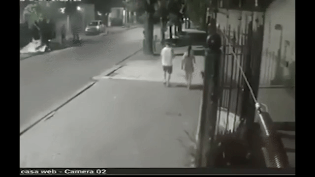 Paseaba al perro, lo balearon en la cabeza y sobrevivió de milagro: el video