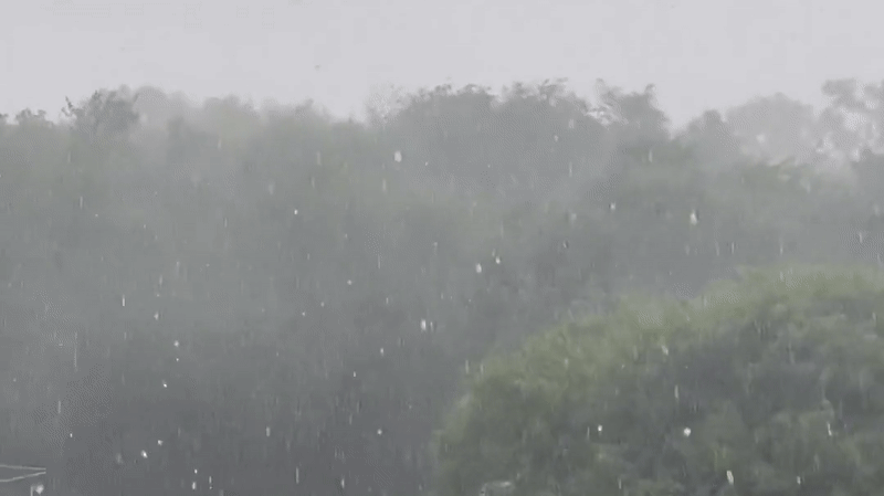 Una tormenta sorpresiva azotó Córdoba, dejó destrozos y al menos una víctima fatal: los videos