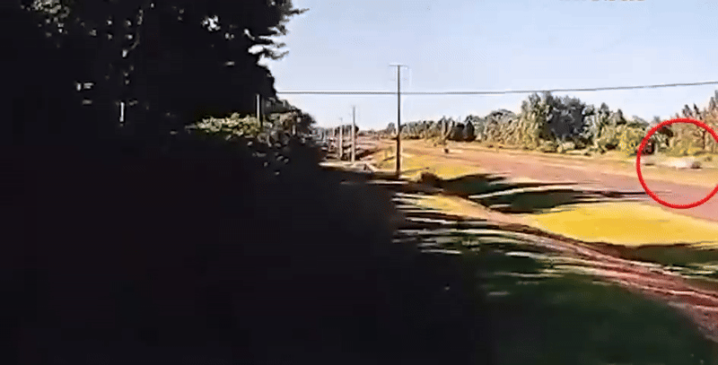 Manejaba alcoholizado, se cruzó de carril y mató: el video que complica a un policía