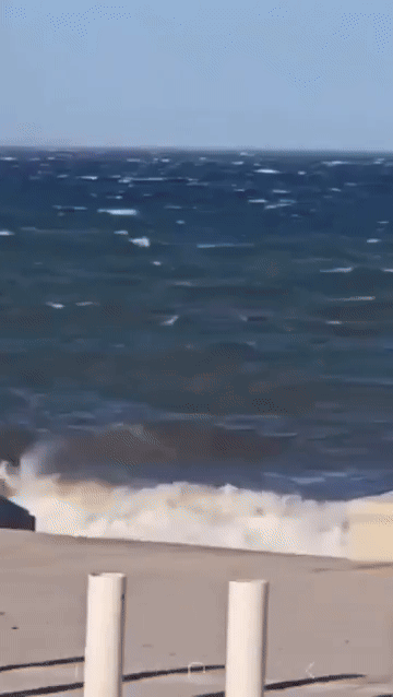 Inesperada sorpresa en Puerto Madryn: un contenedor apareció flotando frente a sus costas