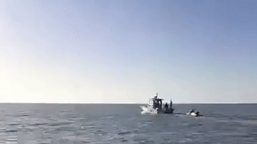 Así fue el momento en el que el argentino desaparecido en Punta del Este fue rescatado