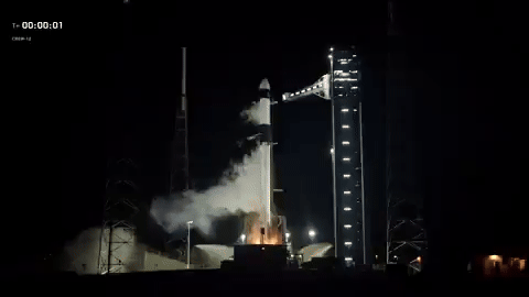 Video: así despegó Crew-12, la nueva misión con astronautas para investigar en la Estación Orbital Internacional