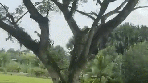 Tragedia en Colombia: cayó un avión militar con 125 personas a bordo y hay al menos 48 heridos