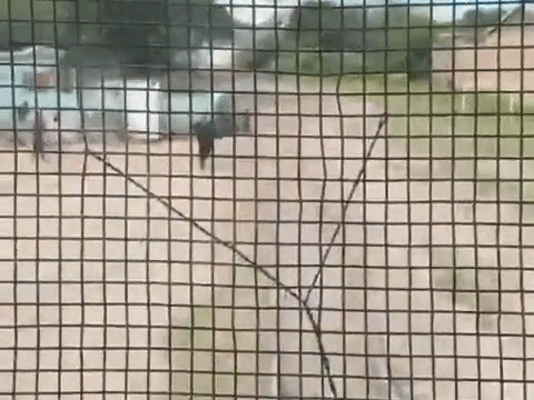 El video de la impresionante corrida de un policía para salvar a un niño del tren