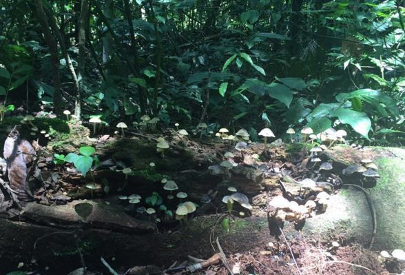 Rocío Guirao Díaz viajó a Puerto Iguazú para un desfile y publicó fotos en Instagram.