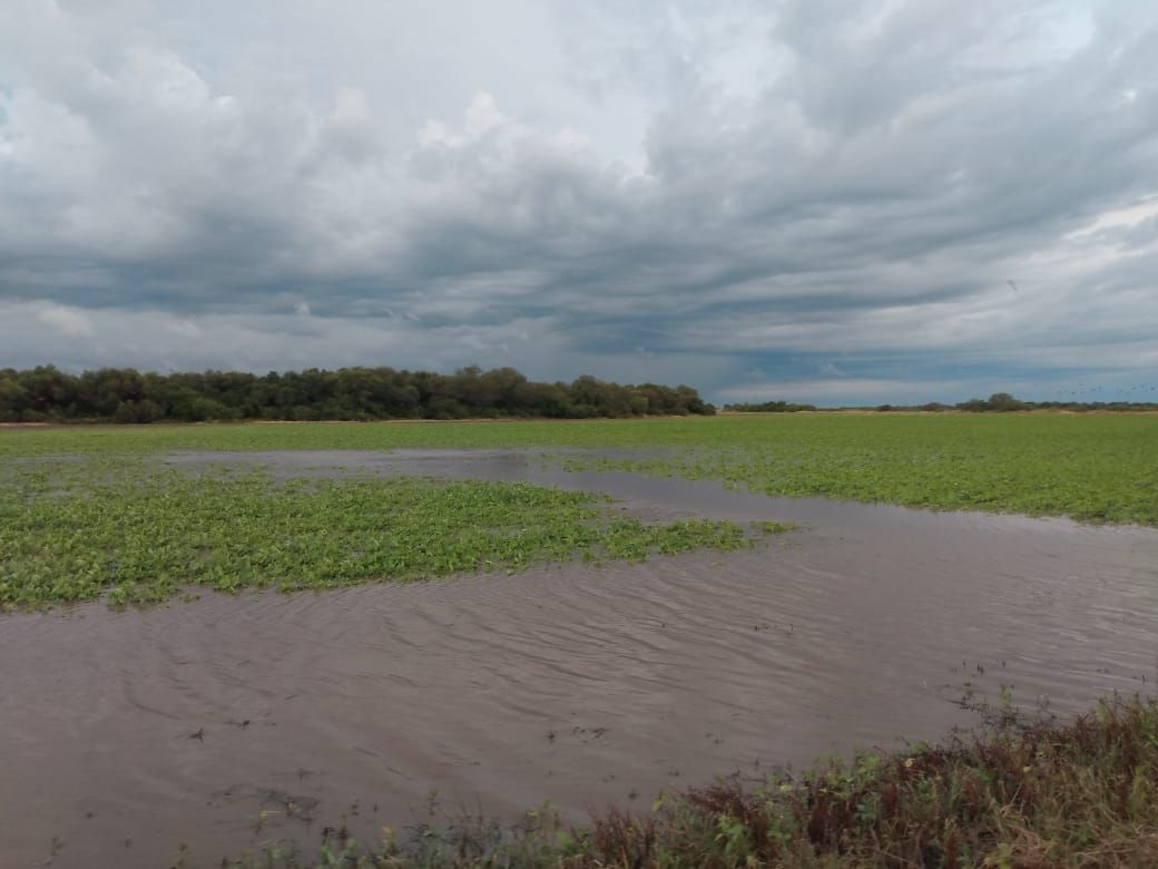 Inundaciones Chaco
