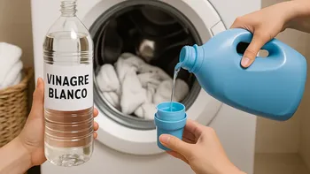 Vinagre blanco y detergente: el truco de lavado que se volvió tendencia para cuidar la ropa