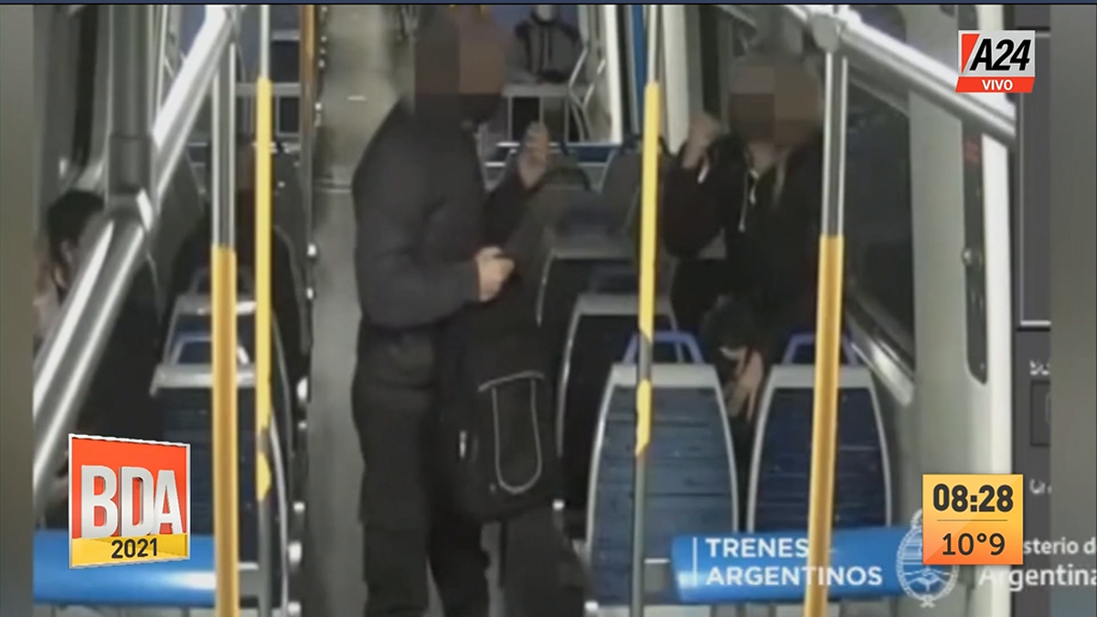 La mujer reaccionó a los golpes contra el abusador del tren de la línea Sarmiento (Foto: Captura de TV).