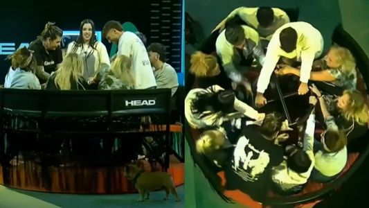 Caos en Gran Hermano 2024: los jugadores terminaron con mareos y náuseas tras la última prueba semanal