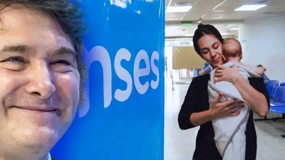 Milei y ANSES le pagarán un BONO de fin de año a la AUH: cómo acceder (Foto: archivo)