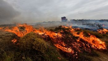 Se reaviva el fuego en Puerto Madryn y alertan que los vientos podrían dificultar el control