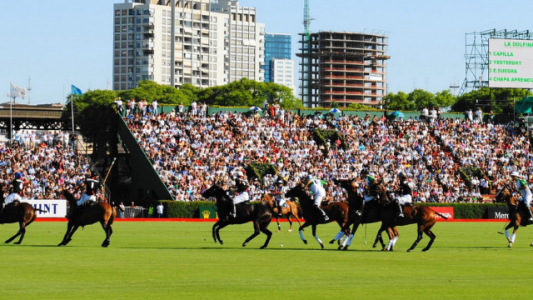 El polo espera recuperar sus niveles de exportación