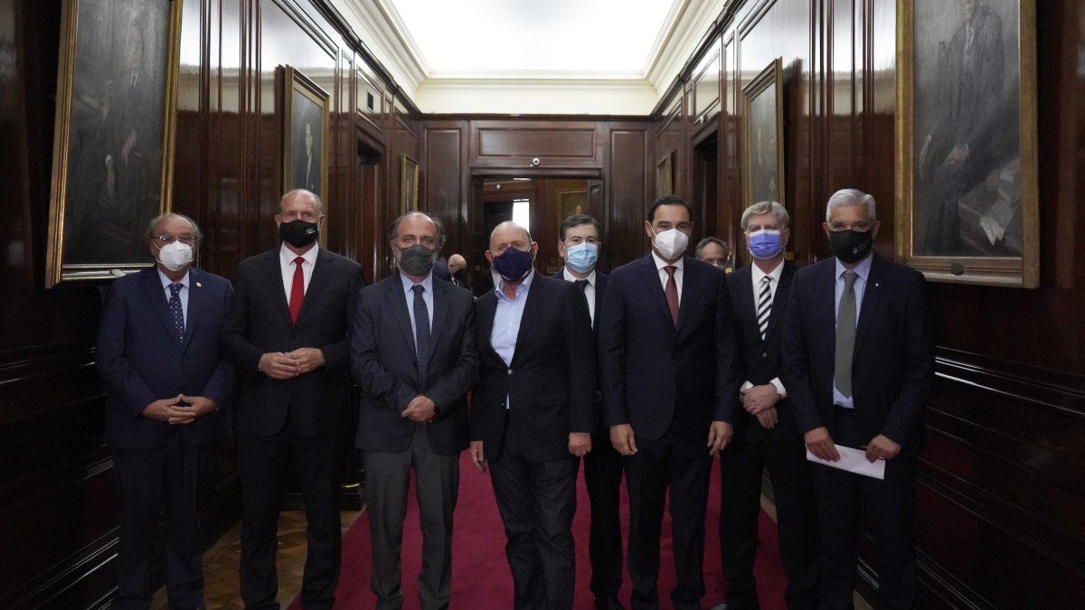 La carne sigue en el centro de la escena: anunciaron beneficios para la ganadería