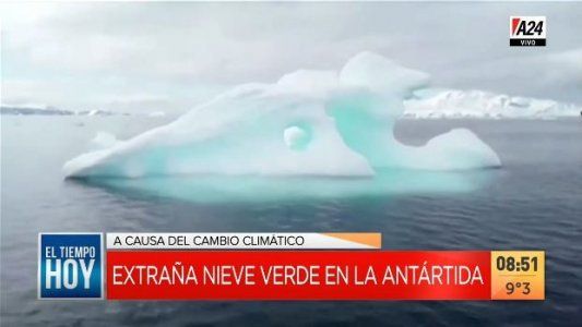 Por el cambio climático se vio una extraña nieve verde en la Antártida