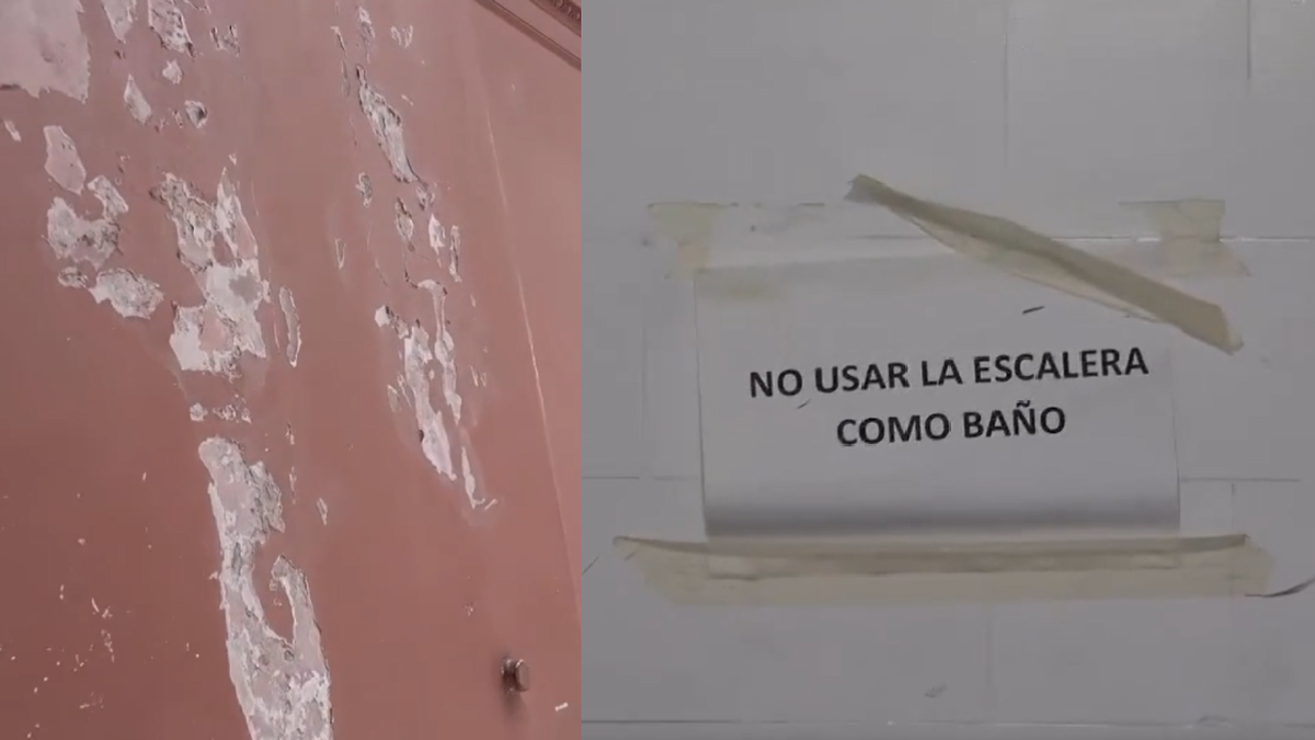 El Gobierno publicó un video en el que muestra el estado de la Casa Rosada: La dejaron como el país