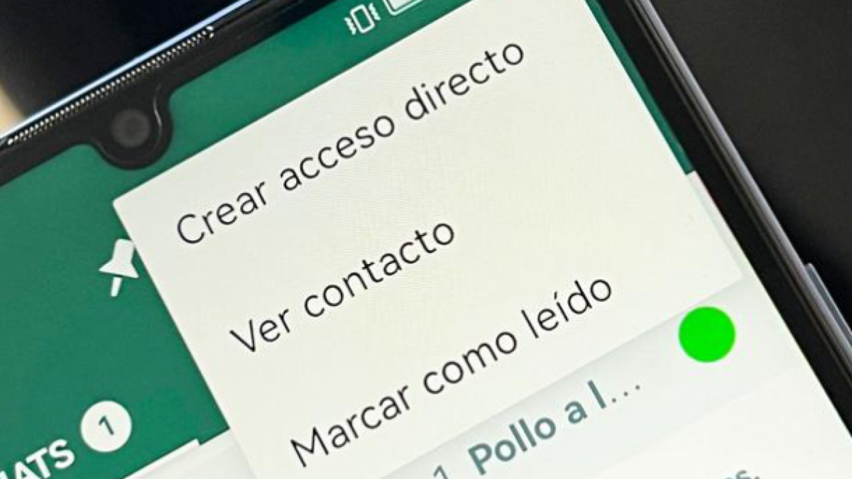 Qu&eacute; significa el misterioso punto verde en WhatsApp