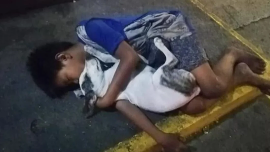 La historia del niño que se aferra a su perro para no sufrir frío
