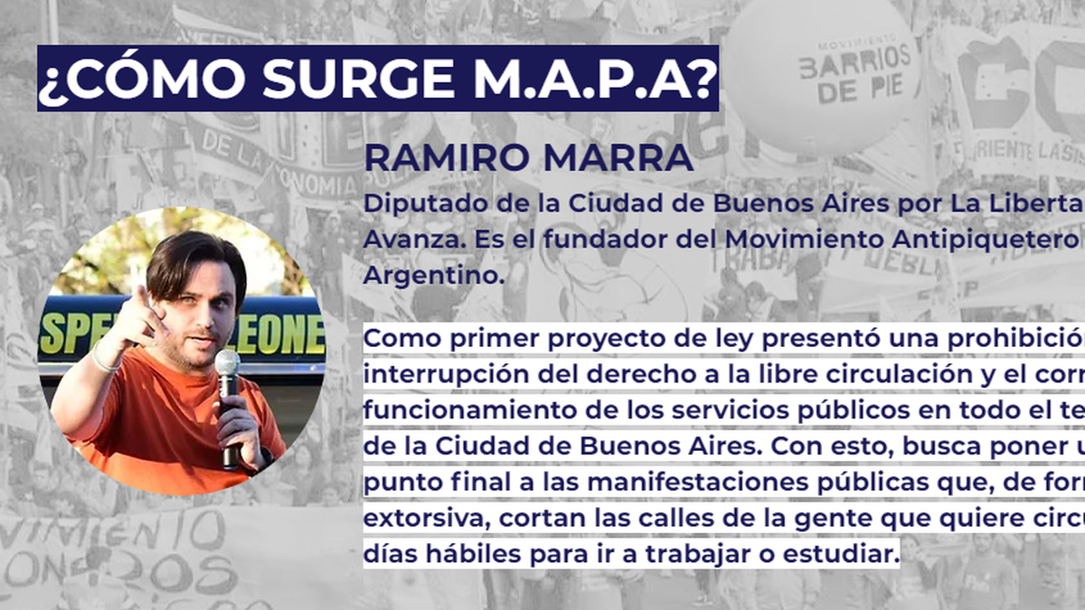 Así describen en su página web como surge MAPA