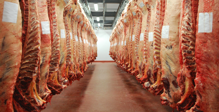 Tras la polémica, se retrasó la venta de cortes de carne a precios populares en el Mercado Central