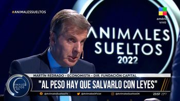 Martín Redrado, en Animales Sueltos: Están devaluando en cuotas