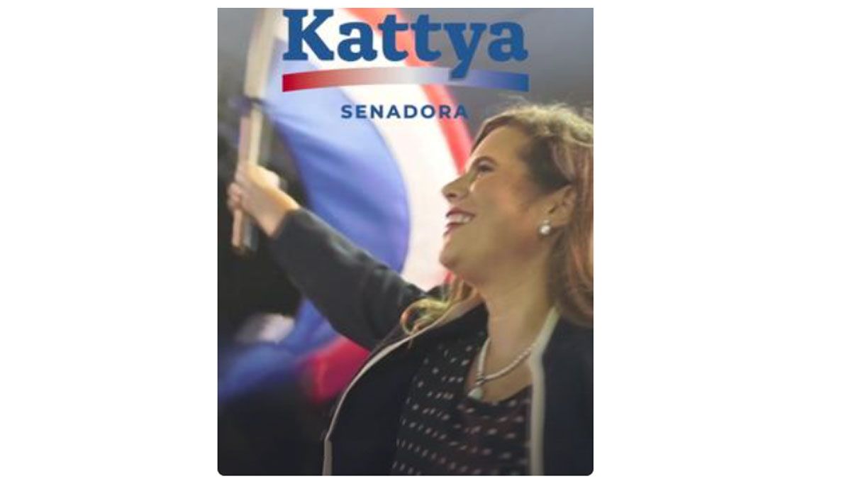 Una diputada paraguaya interpretó una canción de Shakira para protestar en el Congreso: "Te felicito, qué bien actúas!"