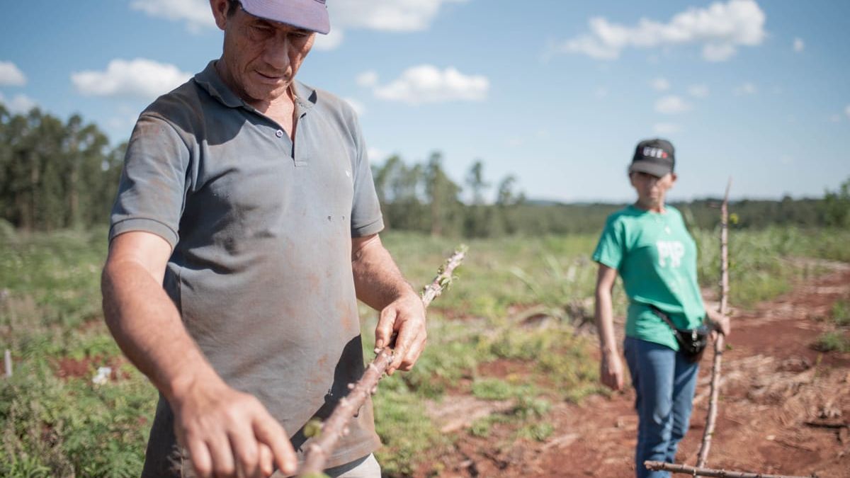Misiones: A 9 años de que entró en vigencia la ley no termina de cumplirse. La empresa Arauco aún no les devolvió ni la mitad de las tierras que indica la norma.