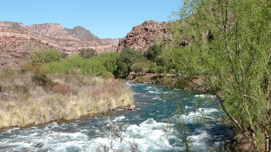 Tragedia en Mendoza: una turista murió cuando intentaba cruzar el río Atuel