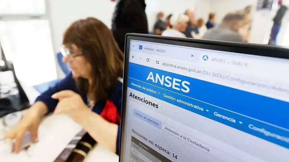 Nuevo bono ANSES de $20 mil: cómo cobrarlo en simples pasos (Foto: archivo)