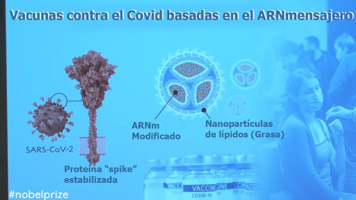 Gracias al ARN mensajero se pudo adaptar a las vacunas para que act&uacute;en en la fase temprana de la enfermedad del Covid-19 (Foto: Comit&eacute; Nobel).