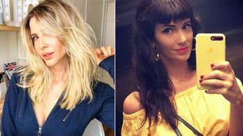 Valdés y Siciliani repudiaron el caso de la nena de diez años abusada y embarazada