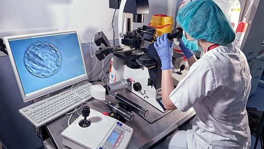 7069: el donante de esperma que sembró el terror en todo un continente por una falla genética mortal