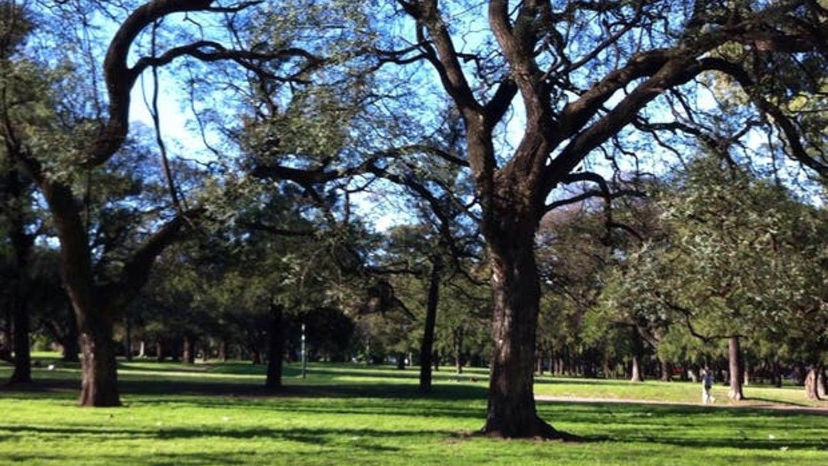 Tragedia en la Ciudad: un conductor atropelló a ciclistas y runners en los bosques de Palermo y escapó.