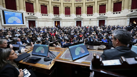 El Gobierno enfrenta una sesión clave en Diputados por la Ley de Tierras, discapacidad y propiedad privada