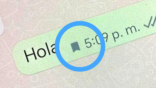 En qué conversaciones de WhatsApp aparece el nuevo ícono de la bandera