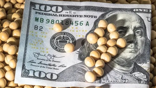 El Banco Central frenó la sangría de reservas pero aún no hay liquidaciones con el dólar agro