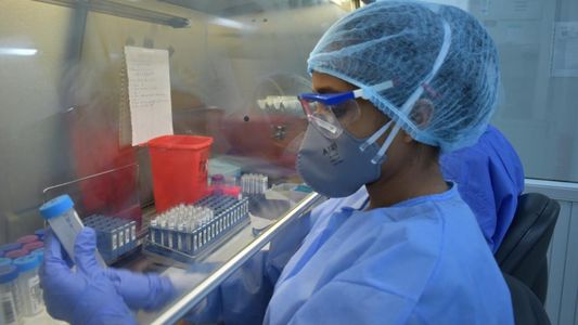 Apareció IHU, una nueva variante de Covid-19 que nació en Camerún, ¿en qué se diferencia de Ómicron?