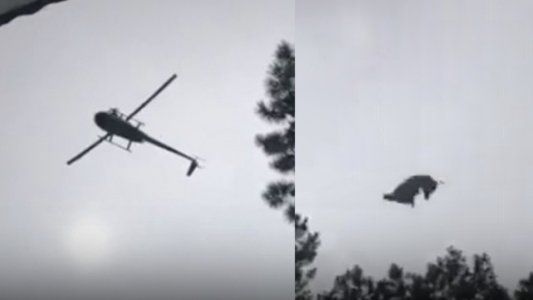 ¿Qué se sabe hasta ahora sobre el cordero que tiraron a un pileta desde un helicóptero?