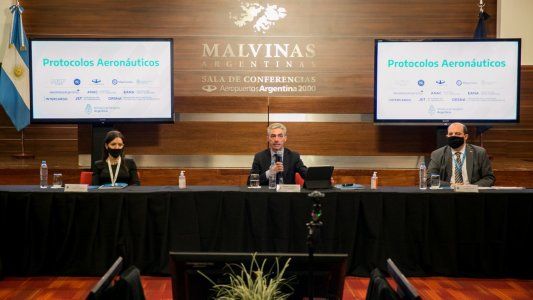 Ultiman detalles del protocolo aéreo para volver a la brevedad con los vuelos regulares