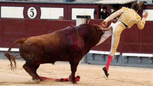 El dramático video en el que un torero recibió una cornada por la espalda