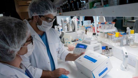El resultado en solo 90 minutos: científicos argentinos desarrollaron un nuevo y eficaz test para detectar COVID-19