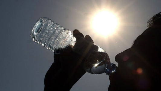 Dieta de la temperatura corporal