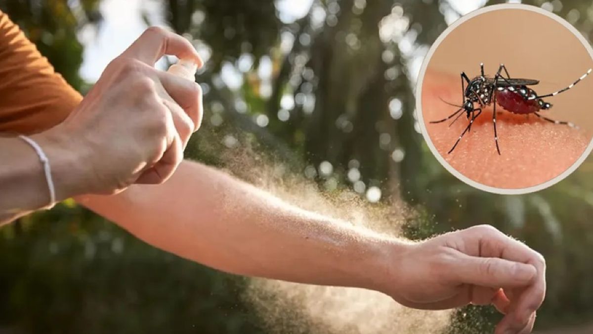 La UBA entregará repelente gratuito contra mosquitos: cómo y dónde conseguirlo