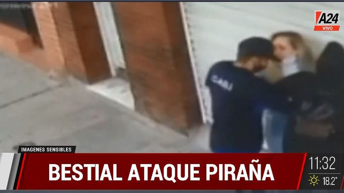 Villa Lynch: brutal robo piraña a una joven en la parada. (Captura de Tv)